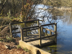 Fishing platforms