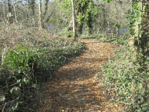 Billy's lake footpaths